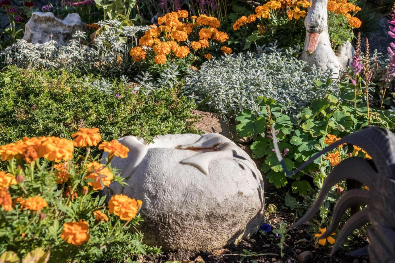 Tonigbauernhof Blumenwiese Schenna Exteriér fotografie